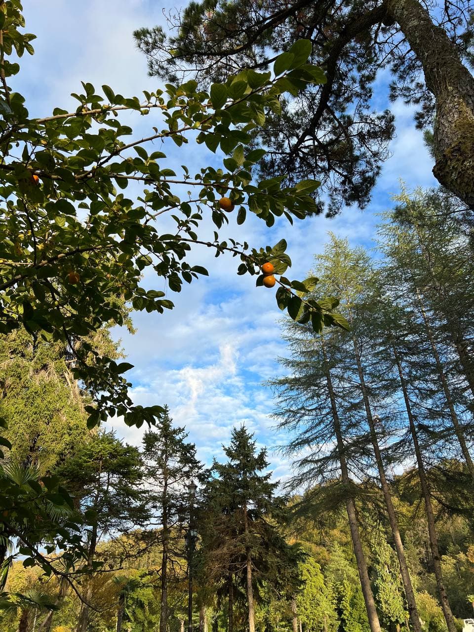 Человек -- Творец своей реальности