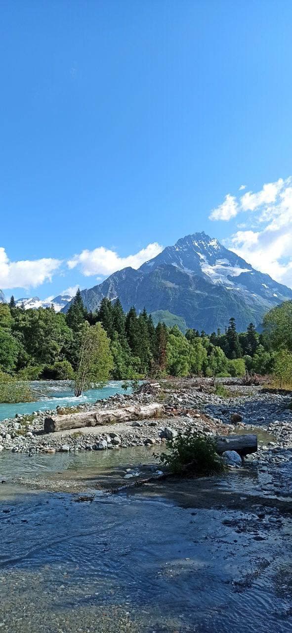 Исцеление травм родителей -- конфликт со своими клетками