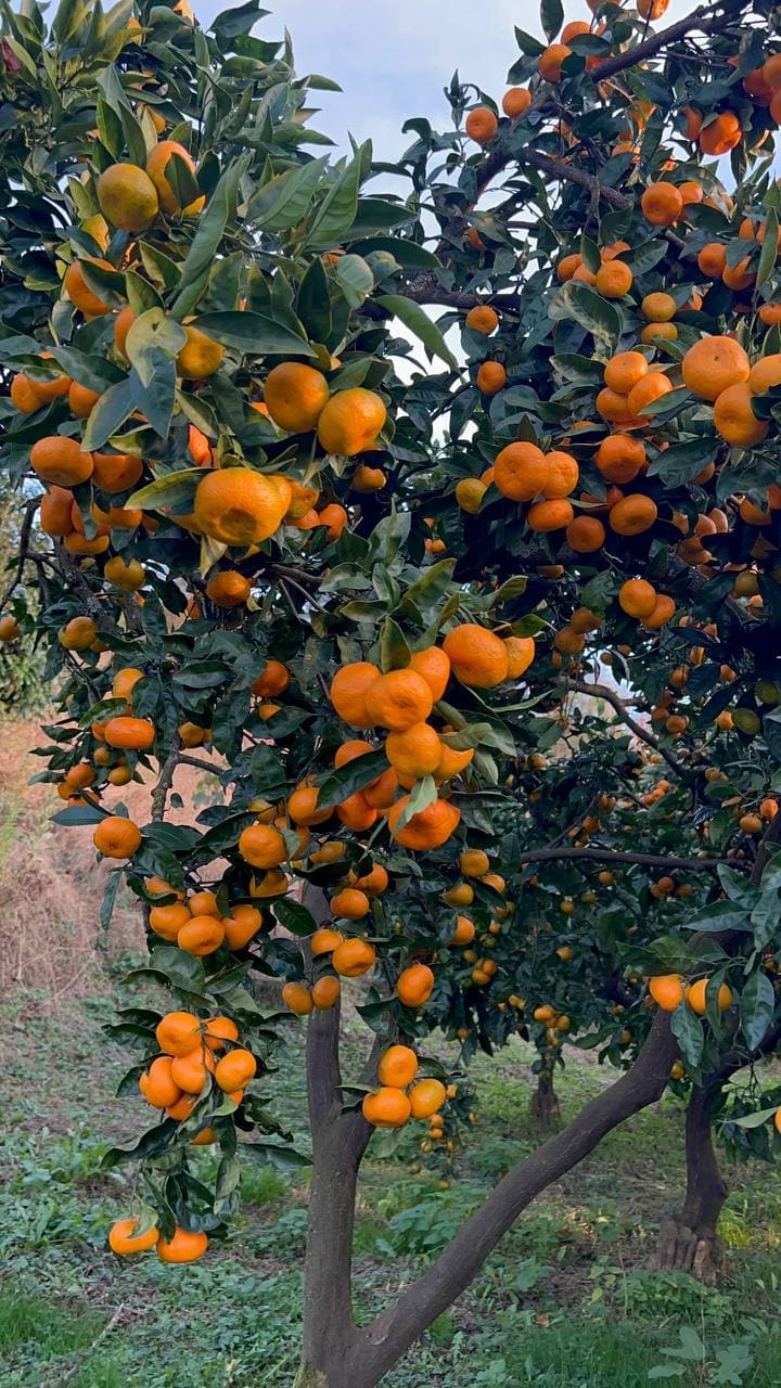 Поворотный момент: завершение девятилетнего цикла