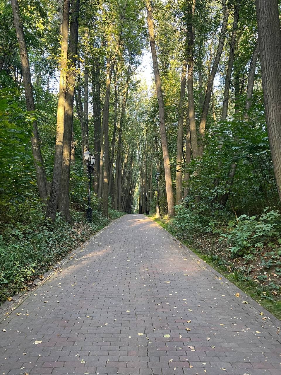 Заблокированные чувства: почему важно освобождать тело